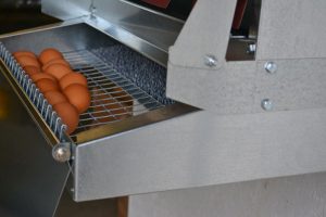 rollaway-egg-collection-tray