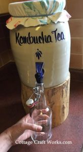 home brewing kombucha tea