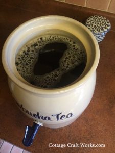 home brewing kombucha tea
