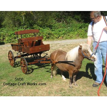 mini pony wagon with custom paint and wood spokes