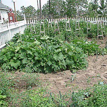 Farm & Garden