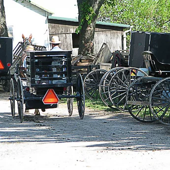 Horse & Buggy